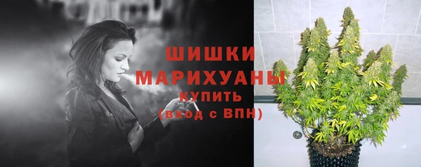 метамфетамин Богданович