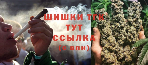 2c-b Богородицк