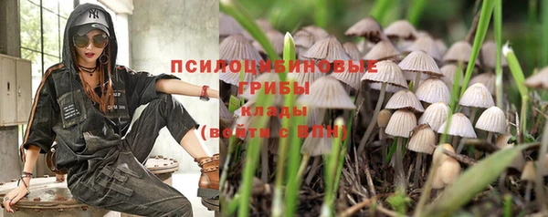 метамфетамин Богданович