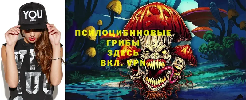 что такое наркотик  Новосибирск  Галлюциногенные грибы Psilocybine cubensis 