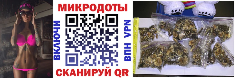 KRAKEN сайт  Новосибирск  Псилоцибиновые грибы GOLDEN TEACHER 