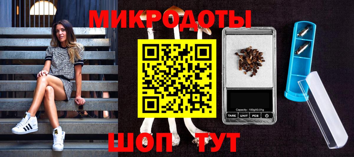 Псилоцибиновые грибы GOLDEN TEACHER Новосибирск