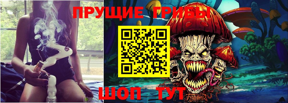 Псилоцибиновые грибы прущие грибы  Вход с VPN  Псилоцибиновые грибы GOLDEN TEACHER  Новосибирск 