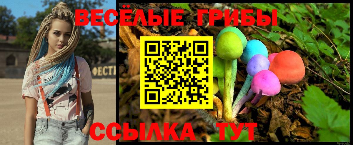 Псилоцибиновые грибы MAGIC MUSHROOMS  Новосибирск  Псилоцибиновые грибы мухоморы 