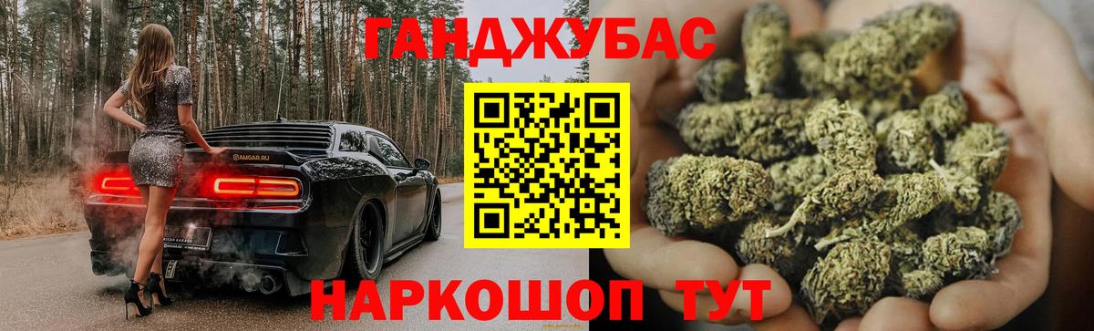 Каннабис OG Kush Новосибирск