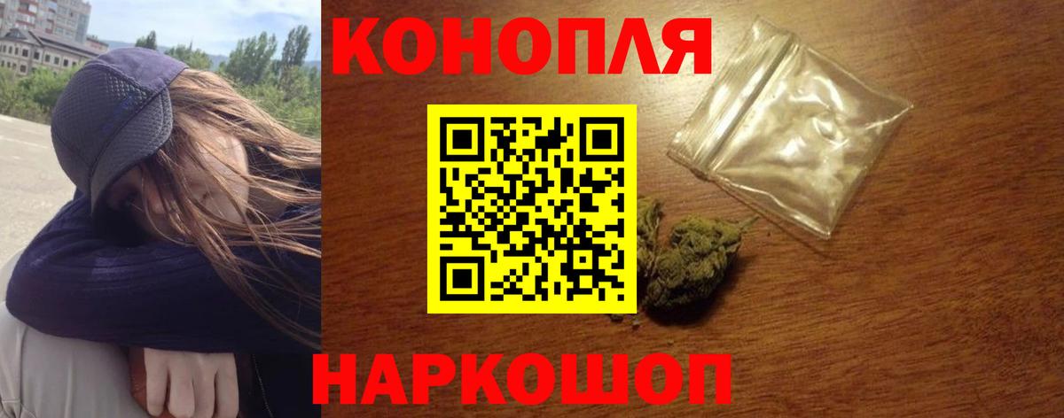 Бошки Шишки семена Новосибирск